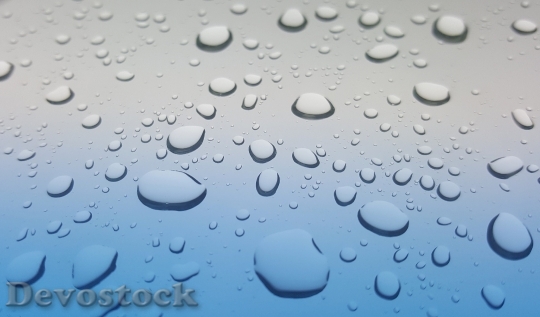 Devostock Rain Drops Rain Water 1