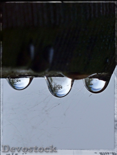 Devostock Rain Drops Reflection Macro