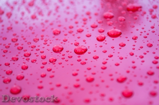 Devostock Rain Raindrops Drop Water