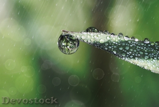 Devostock Raindrop Drop Water 642955