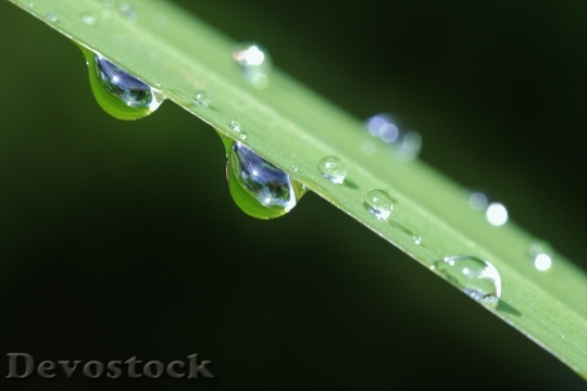 Devostock Raindrop Drop Water Rain