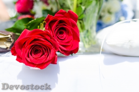 Devostock Red Love Romantic 3140