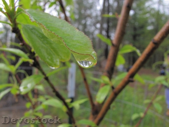Devostock Reflection In Water Drop