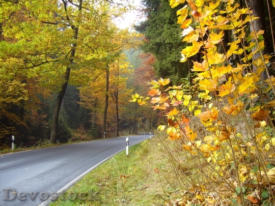 Devostock Road Traffic Kirnitzschtal Autumn