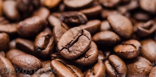 Devostock Roasted Coffee Beans 1