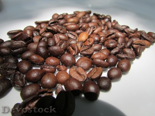 Devostock Roasted Coffee Beans Dharwad