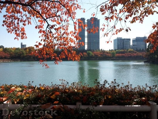 Devostock Seokchon Lake Lake Palace 1