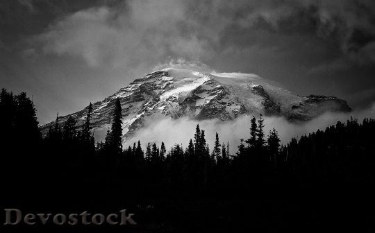 Devostock Snow Black And White Landscape 7697