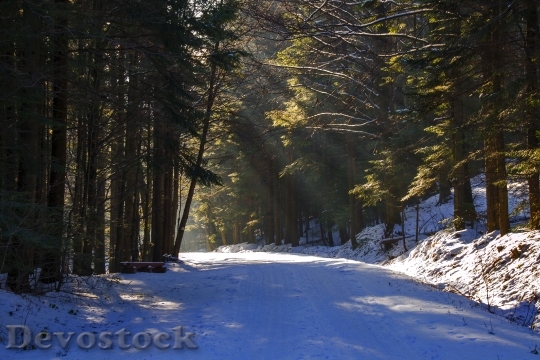 Devostock Snowy Road Road To