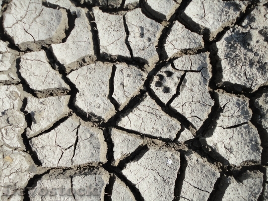 Devostock Soil Mud Cracks Dry