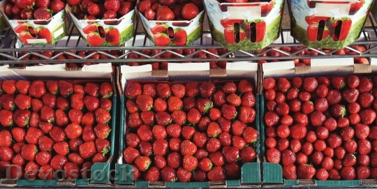Devostock Strawberries Produce Food Fruit