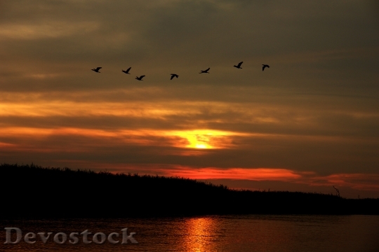 Devostock Sunset Aterdecer River Amazon