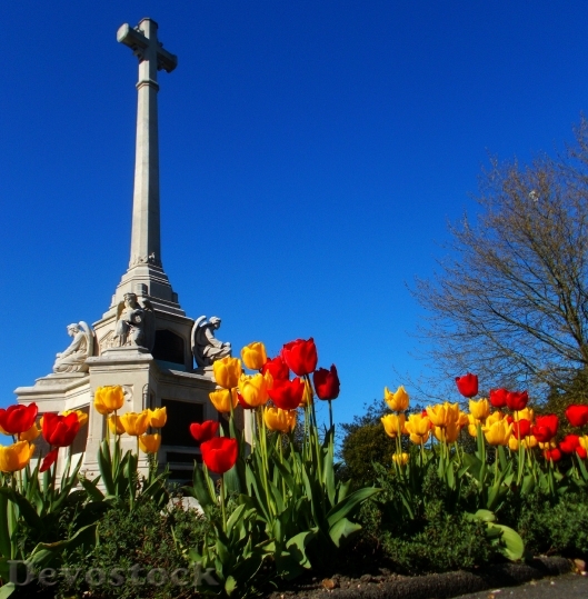 Devostock Sutton War Memorial Spring 0