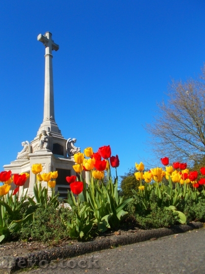 Devostock Sutton War Memorial Spring 1