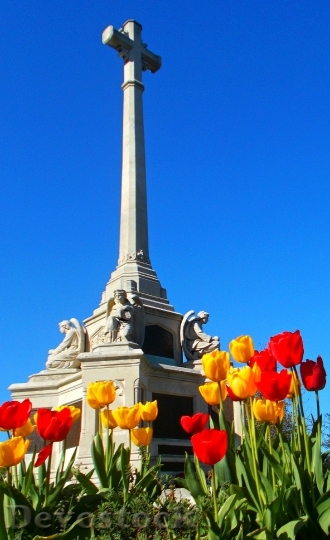 Devostock Sutton War Memorial Spring