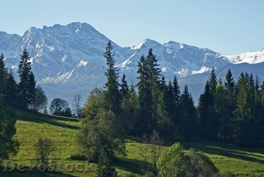 Devostock Tatry High Tatras Meadow