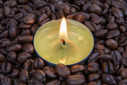 Devostock Tealight Coffee Beans Brown