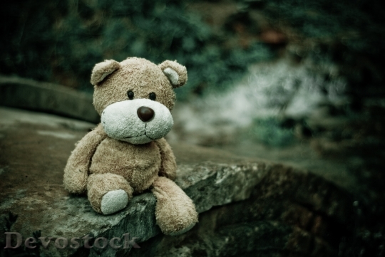 Devostock Teddy Bear Toy Macro 1031