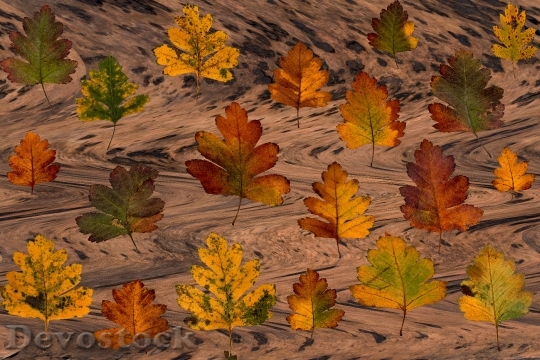 Devostock True Leaves Leaves Colorful 1
