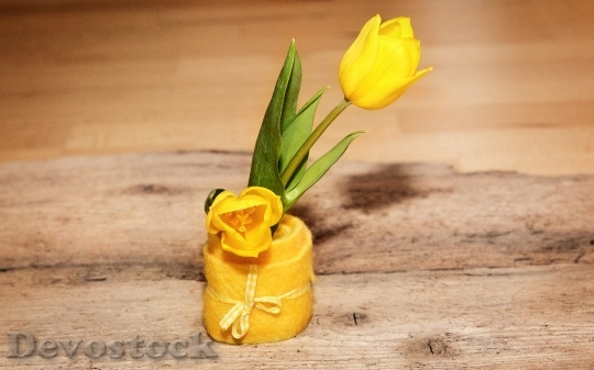 Devostock Tulip Yellow Schnittblume 712390