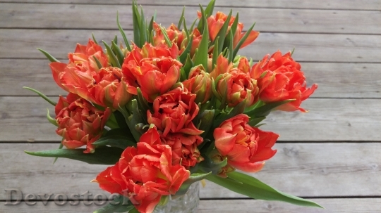 Devostock Tulips Bouquet Flowers 1290865