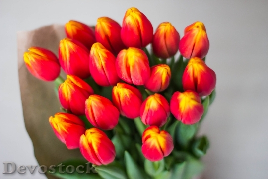 Devostock Tulips Bouquet Women S 0