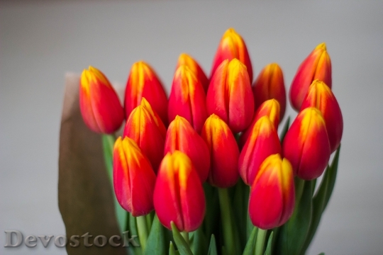Devostock Tulips Bouquet Women S 1