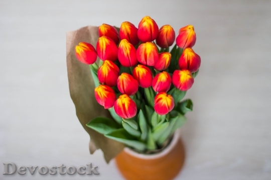 Devostock Tulips Bouquet Women S
