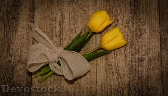 Devostock Tulips Cut Flowers Yellow