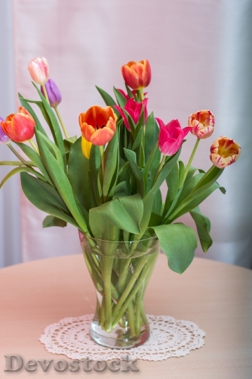 Devostock Tulips Federal Government Bouquet 0