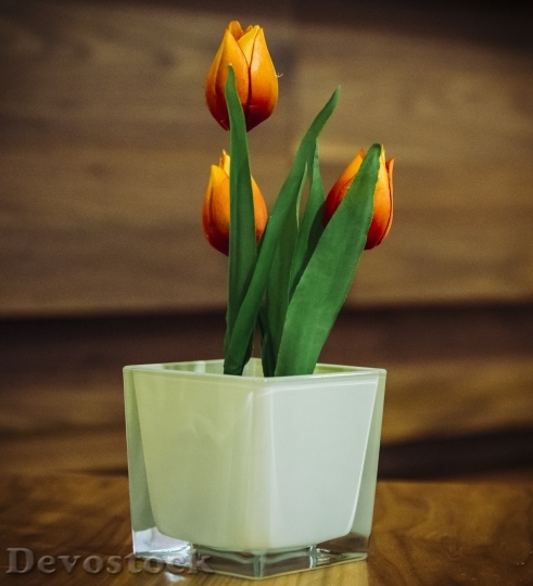 Devostock Tulips Flowers Potted Decoration