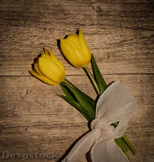 Devostock Tulips Flowers Yellow Flowers