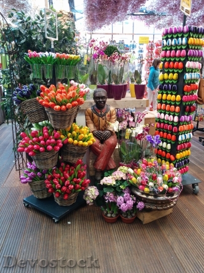 Devostock Tulips Shop Man Flowers
