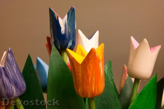 Devostock Tulips Wood Wooden Tulips