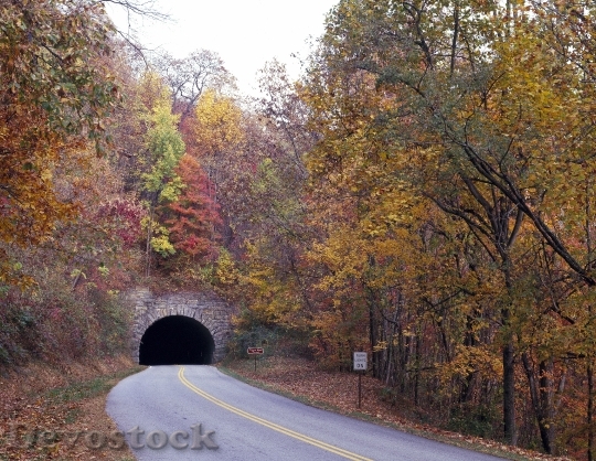 Devostock Tunnel Foliage Fall Autumn
