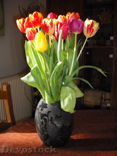 Devostock Vase Tulip Flower 172750