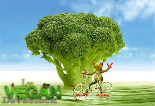 Devostock Vegan Appetite Broccoli Frog 0