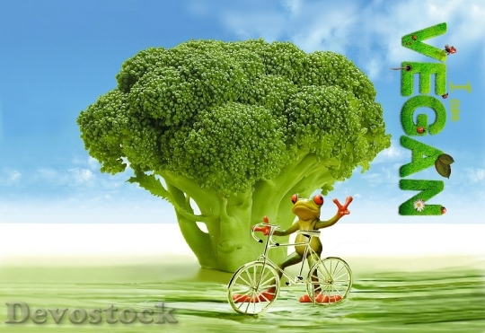 Devostock Vegan Appetite Broccoli Frog 1