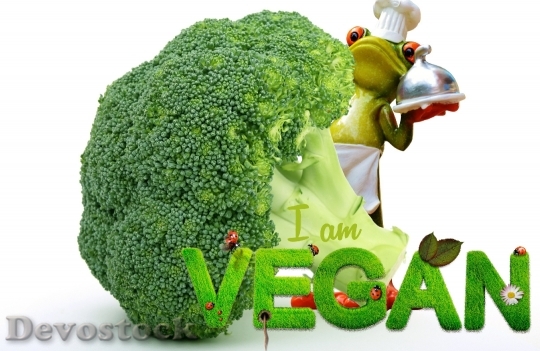Devostock Vegan Appetite Broccoli Frog