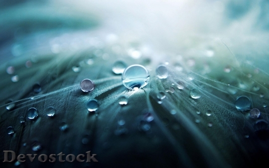Devostock Water Drop Drop Water 2