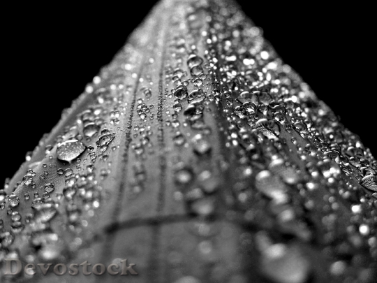 Devostock Water Drops Droplets Rain 0