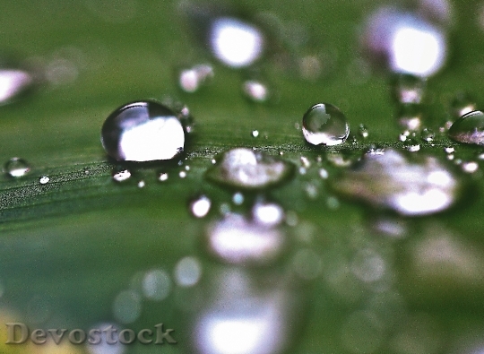 Devostock Water Drops Drops Water 4