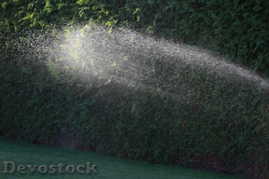 Devostock Water Garden Watering Drops