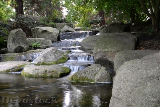Devostock Water Japanese Garden Reflection