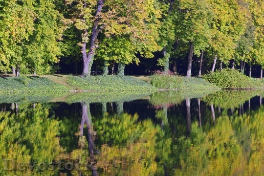 Devostock Water Park Tree Reflection