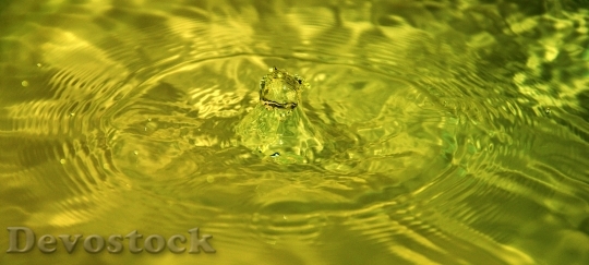 Devostock Water Splash Drop Droplet 0