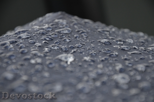 Devostock Waterdrops Raindrops Rain Droplets