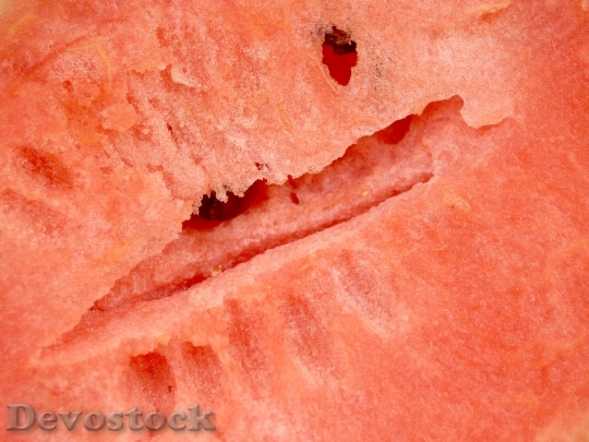 Devostock Watermelon Slice Isolated Seeded 9