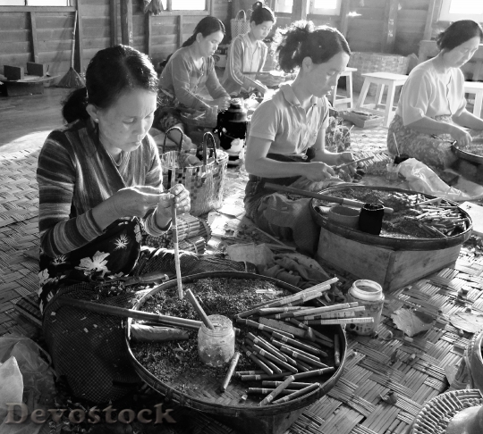 Devostock Women Work Asia Tobacco