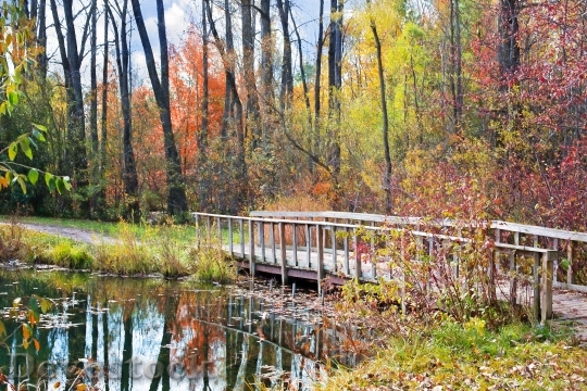 Devostock Wooden Bridge Autumn Fall
